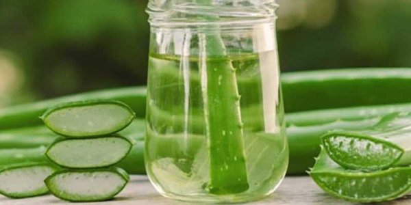 ALOE VERA … SABILA … LLAMALO COMO MAS TE GUSTE,   DESCUBRELO!!!!!