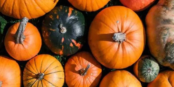 ACEITE DE SEMILLAS DE CALABAZA CONOCE TODOS SUS BENEFICIOS