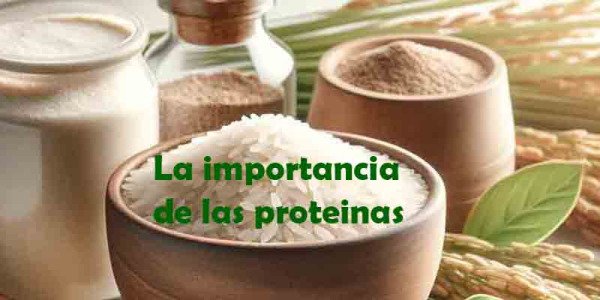 LAS PROTEINAS PILAR DE NUESTRA ALIMENTACION